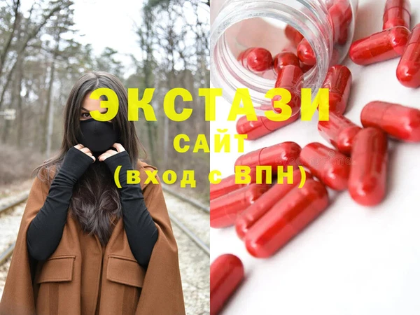 ECSTASY Бородино